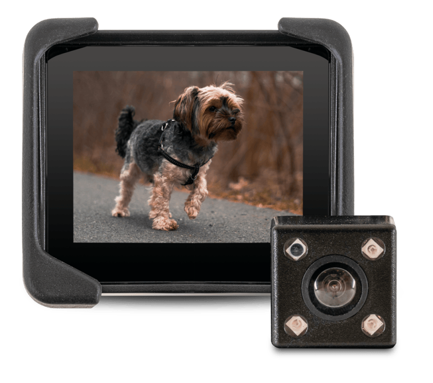 What is the Quantum Camera? – Life with Quantum